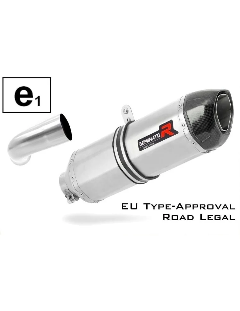Silencieux slip-on homologué Dominator HP1 pour BMW F800S (2006-2012)