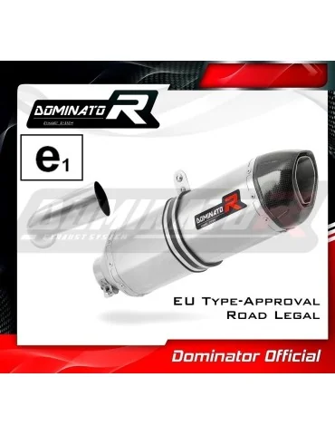 Silencieux slip-on homologué Dominator HP1 pour BMW F800S (2006-2012)