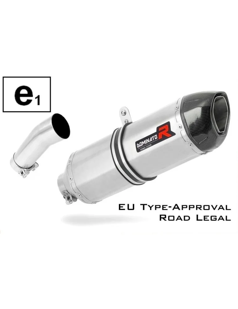 Silencieux slip-on homologué Dominator HP1 pour BMW F800R (2009-2019)