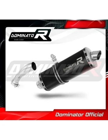 Silencieux slip-on Dominator P7 Noir pour BMW R1200GS (2004-2009)