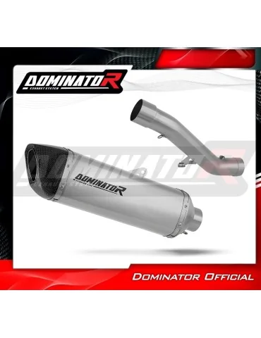 Silencieux slip-on Dominator HP6 Titane pour Honda CBR 600 F4i (2001-2006)