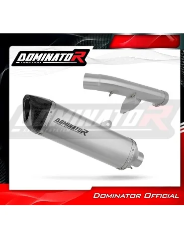 Silencieux slip-on Dominator HP6 Titane pour Honda CBR 600 F4 (1999-2000)