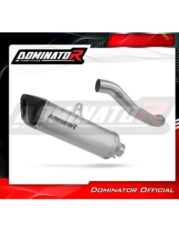 Silencieux slip-on Dominator HP6 Titane pour Yamaha YZF R1 1000 RN09 (2002-2003)