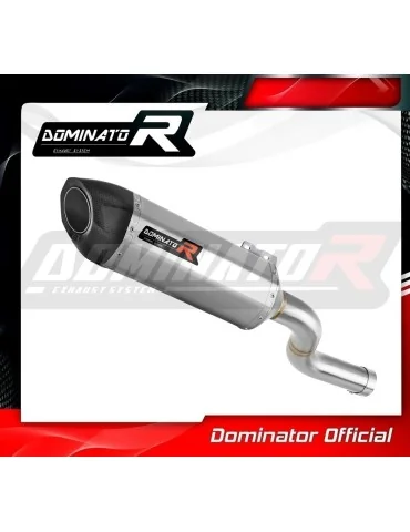 Silencieux slip-on Dominator HP5 pour BMW F900R (2020-2026)