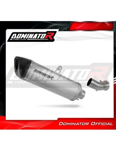 Silencieux slip-on Dominator HP6 Titane pour BMW K1300R (2007-2015)
