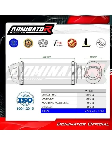 Ligne d'échappement complète inox Dominator HP3 pour Husqvarna Vitpilen 401 (2020-2023)
