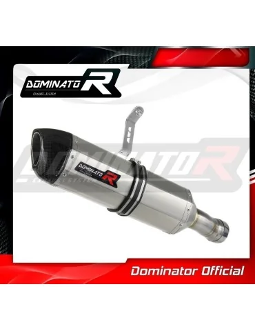 Silencieux slip-on homologué Dominator HP1 pour BMW S1000RR (2012-2014)