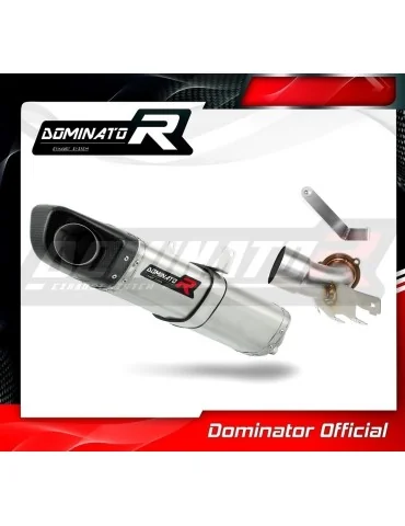 Silencieux slip-on Dominator HP4 pour KTM 690 Duke (2008-2011)