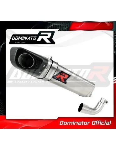 Silencieux slip-on Dominator HP4 pour Aprilia RS4 125 Replica (2012-2017)