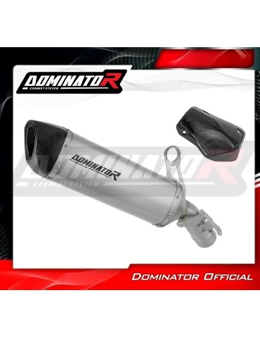 Silencieux slip-on Dominator HP6 Titane pour BMW S1000XR (2020-2026)
