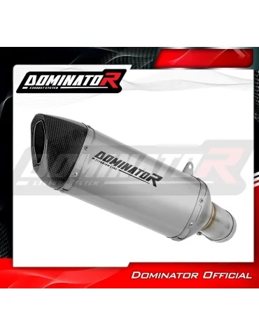 Silencieux slip-on Dominator HP6 Titane pour BMW M1000R (2022-2026)