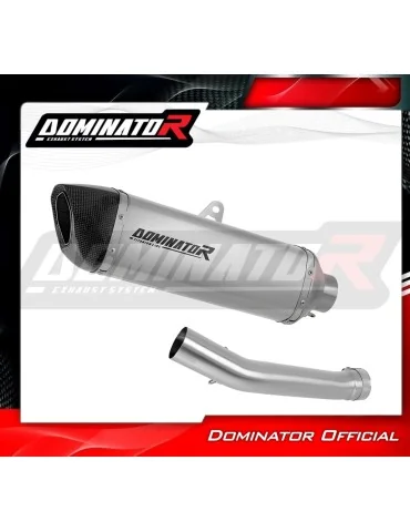 Silencieux slip-on homologué Dominator HP6 Titane pour Yamaha YZF R1 1000 RN04 (2000-2001)