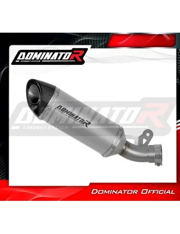 Silencieux slip-on Dominator HP8 Titane pour Kawasaki ZX10R (2016-2020)