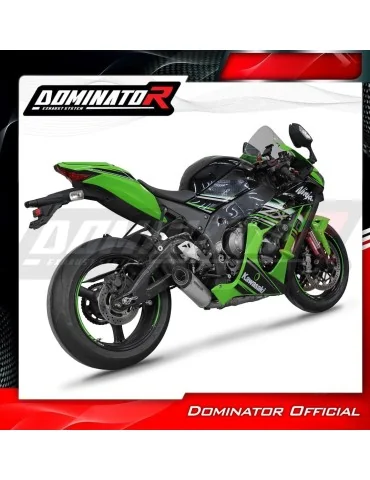 Silencieux slip-on Dominator HP8 Titane pour Kawasaki ZX10R (2016-2020)