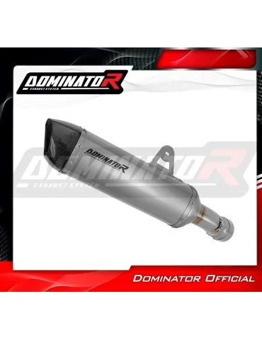 Silencieux slip-on Dominator HP6 Titane pour BMW R1250R (2019-2023)