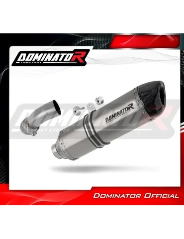 Silencieux slip-on homologué Dominator HP1 Titane pour BMW R1200R (2010-2014)