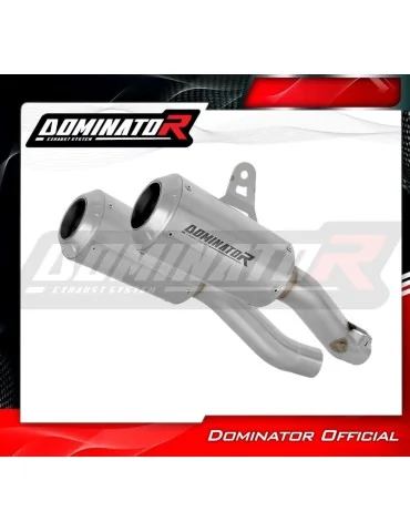 Silencieux slip-on Dominator GPS pour Kawasaki Z1000 (2010-2013)