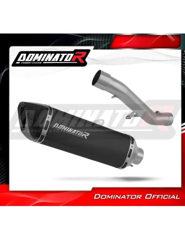 Silencieux slip-on Dominator HP6 Noir pour Honda CBR 600 F4i (2001-2006)