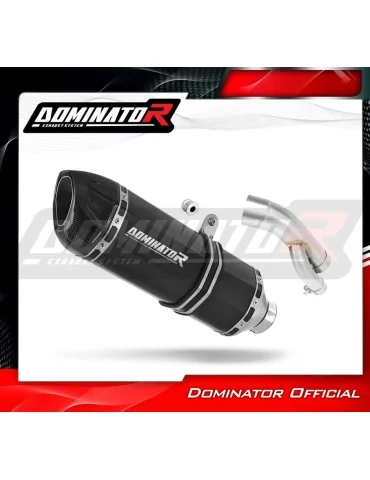 Silencieux slip-on Dominator HP1 Noir pour BMW S1000R (2017-2020)