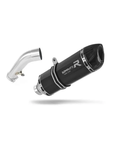 Silencieux slip-on Dominator HP1 Noir pour BMW R1200R (2006-2009)