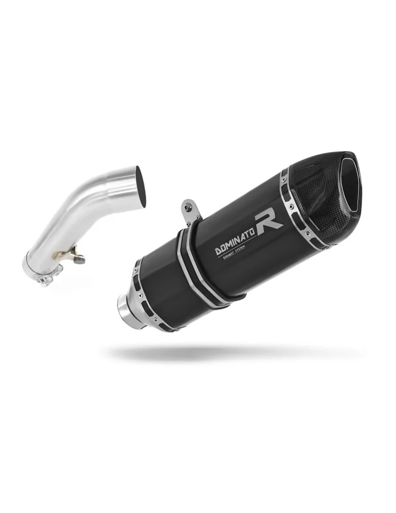 Silencieux slip-on Dominator HP1 Noir pour BMW R1200R (2006-2009)