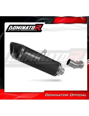 Silencieux slip-on Dominator HP6 Noir pour BMW K1300R (2007-2015)