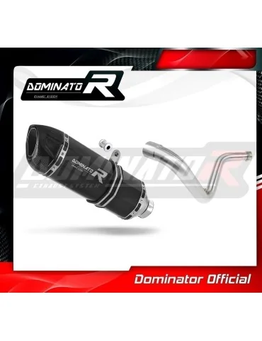 Silencieux slip-on Dominator HP1 Noir pour BMW G310R (2016-2022)