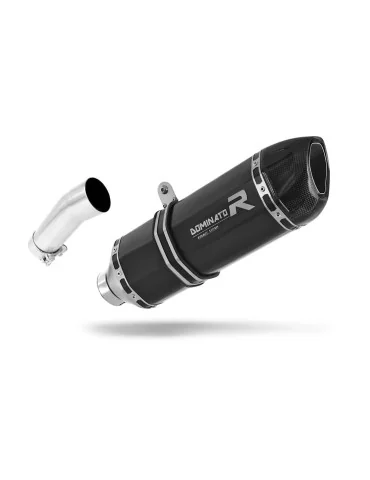 Silencieux slip-on Dominator HP1 Noir pour BMW F800R (2009-2019)