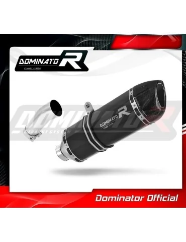 Silencieux slip-on Dominator HP1 Noir pour BMW F800R (2009-2019)