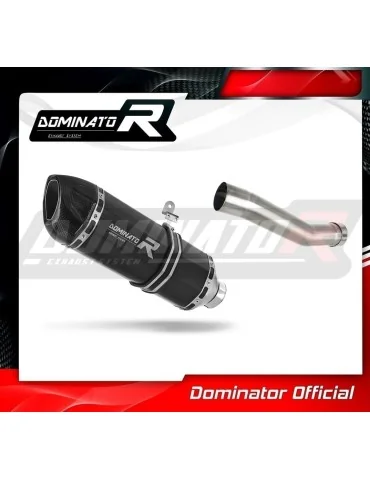 Silencieux slip-on Dominator HP1 Noir pour Aprilia RSV 4 R APRC Factory (2011-2015)