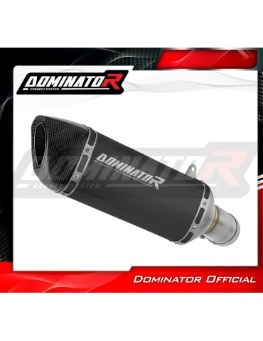 Silencieux slip-on Dominator HP6 Noir pour BMW S1000R (2021-2026)