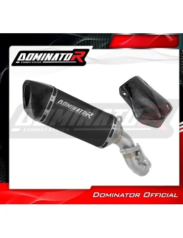 Silencieux slip-on Dominator HP6 Noir pour BMW M1000XR (2020-2026)