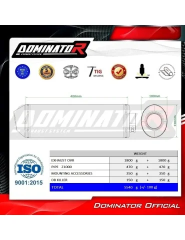 Silencieux slip-on Dominator OVR pour Kawasaki Z1000 (2003-2006)