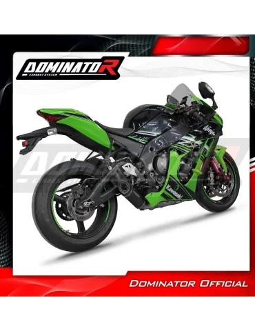 Silencieux slip-on Dominator HP8 Noir pour Kawasaki ZX10R (2016-2020)