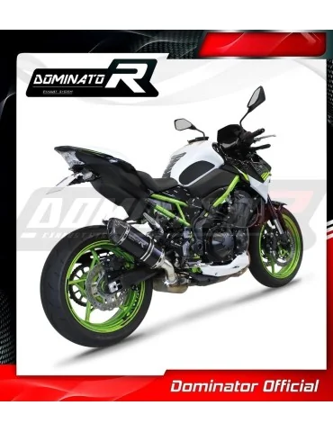 Silencieux slip-on homologué Dominator HP1 Noir pour Kawasaki Z 900 A2 (2017-2019)