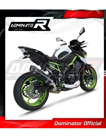 Silencieux slip-on homologué Dominator HP1 Noir pour Kawasaki Z 900 A2 (2020-2024)