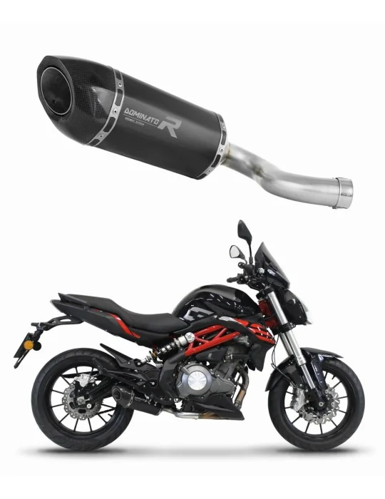 Silencieux slip-on Dominator HP5 Noir pour Benelli BN 302 S 2016-2020, vue 1