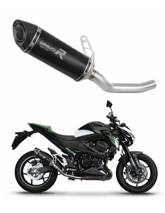 Silencieux slip-on Dominator HP8 Noir pour Kawasaki Z800 2013-2016, vue 1