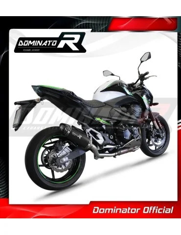 Silencieux slip-on Dominator HP8 Noir pour Kawasaki Z800 (2013-2016)