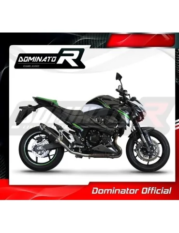 Silencieux slip-on Dominator HP8 Noir pour Kawasaki Z800 (2013-2016)