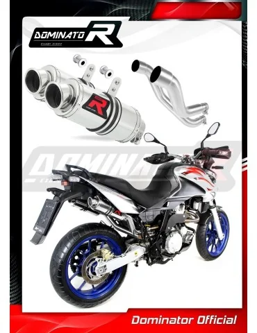 Silencieux slip-on Dominator GP1 pour Aprilia Pegaso 650 Strada (2007-2010)