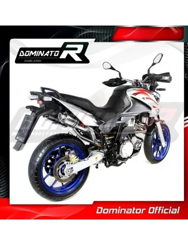 Silencieux slip-on Dominator GP1 pour Aprilia Pegaso 650 Strada (2007-2010)