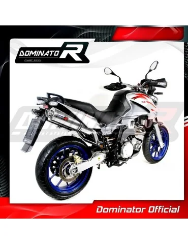 Silencieux slip-on Dominator ST pour Aprilia Pegaso 650 Strada (2007-2010)