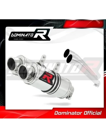 Silencieux slip-on Dominator GP1 pour Yamaha TDM 900 (2002-2009)