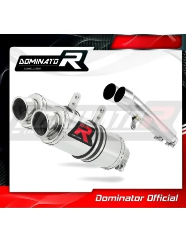 Silencieux slip-on Dominator GP1 pour Yamaha FJ 1200