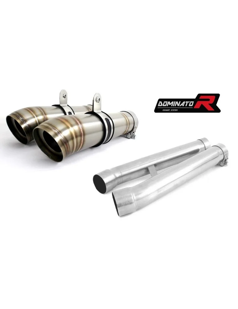 Silencieux slip-on Dominator GP2 pour Yamaha FJ 1100