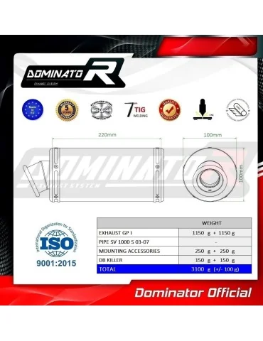 Silencieux bolt-on Dominator GP1 pour Suzuki SV 1000 S (2003-2007)