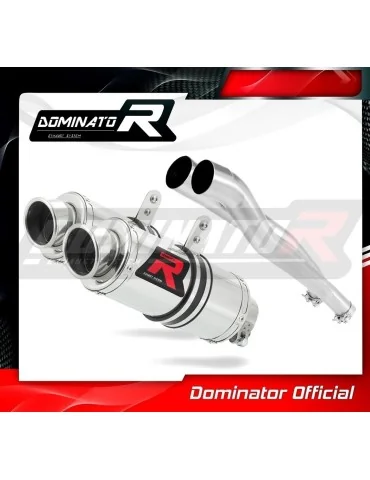 Silencieux slip-on Dominator GP1 pour Kawasaki ZZR 1400 (2006-2011)