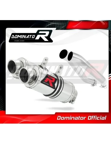 Silencieux slip-on Dominator GP1 pour Kawasaki Z1000 (2003-2006)
