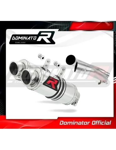 Silencieux slip-on Dominator GP1 pour Honda CBF 1000 (2006-2009)